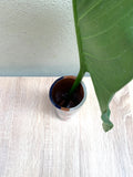 Ceramic vase